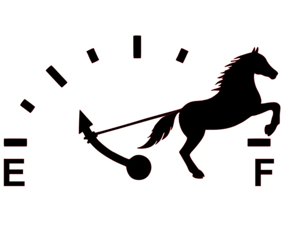 Autostickers
Grappige Tankdop Sticker - Paard trekt benzinemeter- 13,5 x 7.2 cm -Autosticker-Zwart